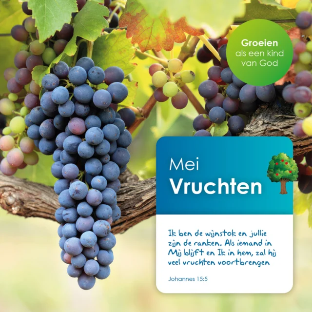 In mei staan we samen stil bij ons jaarthema Groeien als een kind van God. Deze maand is het thema 'Vruchten'. #jaarthema #maandviering #GroeienalseenkindvanGod #NoorderBasis #ScholenmetdeBijbel