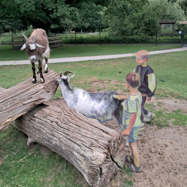 Groep 1 en 2 zijn op bezoek geweest bij de Stadsboerderij bij het Duurzaamheidscentrum Assen. Geiten aaien, koeien melken, helpen met het uitmesten van de hokken van de kippen, konijnen en cavia's... 🐐🐄🐇🐓Gaaf!#excursie #omgaanmetdieren #basisschool #DeCirkel #Assen #NoorderBasis #ScholenmetdeBijbel @duurzaamheidscentrumassen